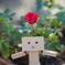 薔薇