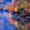 錦繍の須川湖
