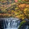 紅葉速報２：奥日光湯滝下流の小さな滝