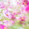 「colorful　harmony」