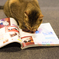 読書の秋