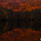 Symmetry