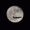 CSC_0340