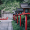 京都散歩。