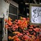 飛騨高山　Autumn  scenery