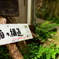 猫の細道