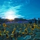夕闇迫る。。