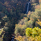 Falling in Fall
