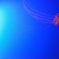 悠久の海に抱かれてⅢ