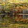 錦の鏡池#2