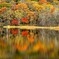 紅葉の鏡池
