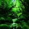 もののけの森