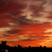 夕焼け