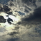 空