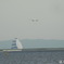 DSCN6670　城南島海浜公園にて