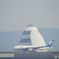 DSCN6682　城南島海浜公園にて