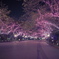 夜散歩④