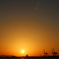 夕焼けとキリン_4