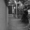 DSC07138