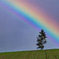 Over the Rainbow