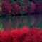 深紅の淵