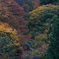秋田県由利本荘　亀田不動滝