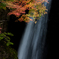 高野大滝