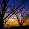 Sunset silhouette