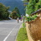 散歩道