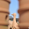 埴輪
