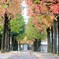 秋気肌にしみ