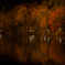 茶臼山高原の紅葉２