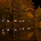 茶臼山高原の紅葉３