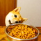 ご飯の時間