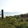 DSC_0107_0741