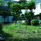 国立Clipping２