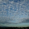 第八百六十一作　　「見上げれば　空いつぱいの　いわし雲」　静岡県天竜　