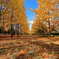 season
