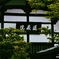 TAIZOIN