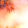 もみじ山の紅葉 VIII