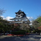 国宝犬山城