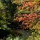 紅葉まだまだ