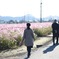 さんぽ日和
