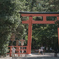 下鴨神社