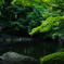 ぺんたの緑
