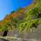 Autumn road