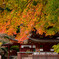 十三重塔と紅葉