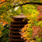 十三重塔と紅葉　②