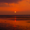 夕日