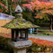 20161106_中尊寺